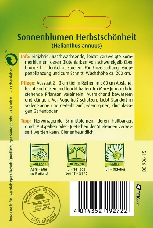 Sonnenblumen Herbstschönheit Sonnenblumen Herbstschönheit