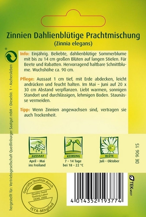 Zinnie Dahlienblütige Prachtmischung Zinnie Dahlienblütige Prachtmischung