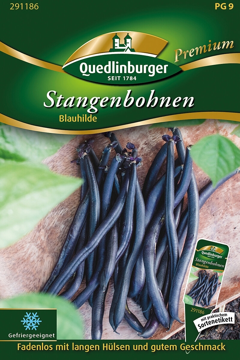 Stangenbohne Blauhilde