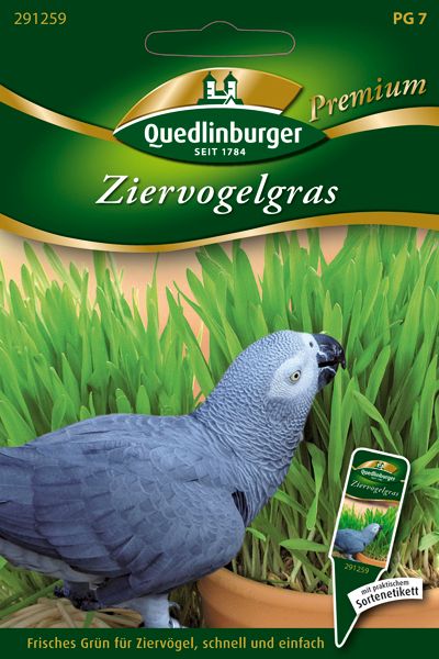 Ziervogelgras