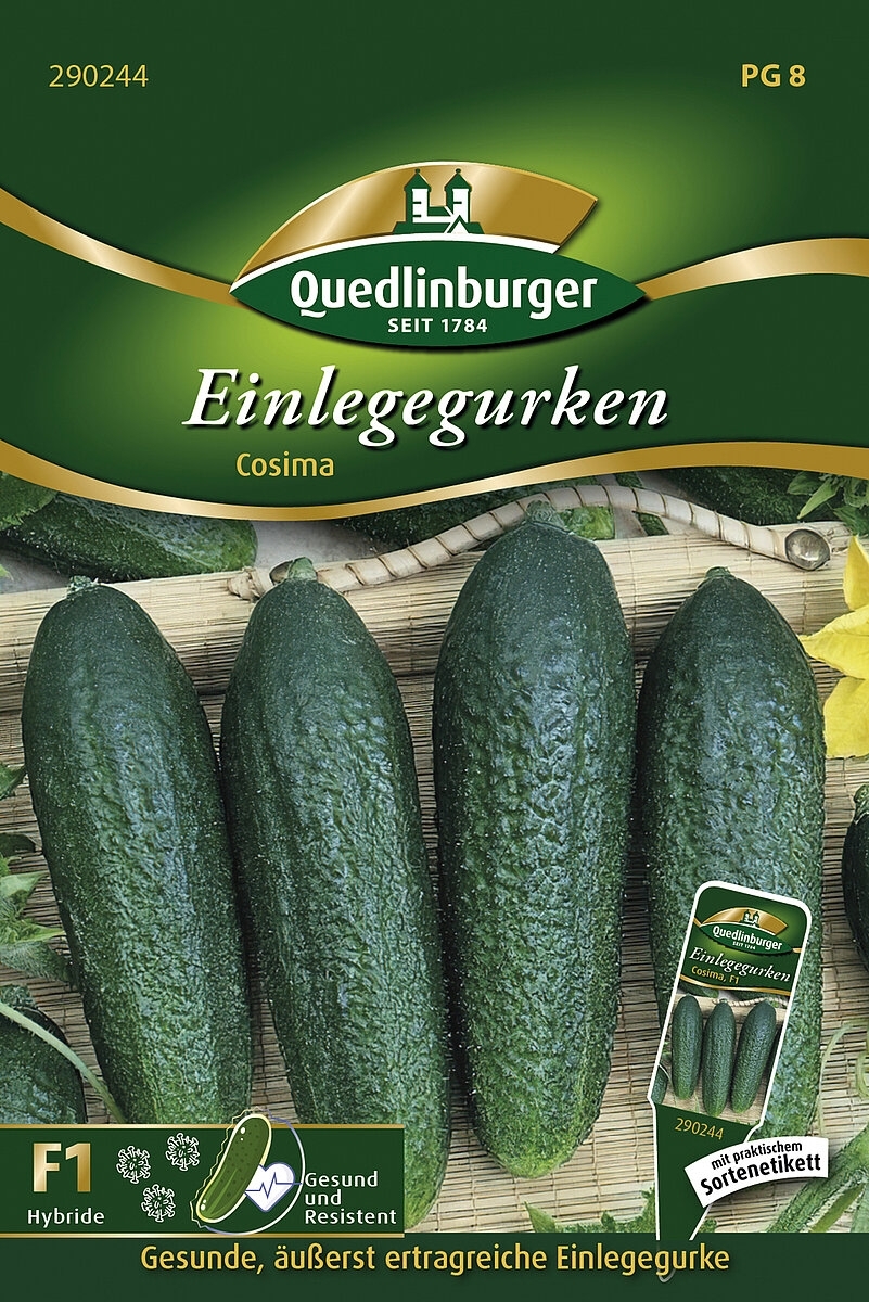 Einlegegurken Cosima (Cucumis sativus L.)