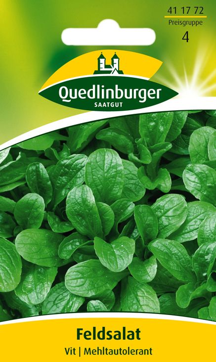 Feldsalat Vit Mehltautolerant
