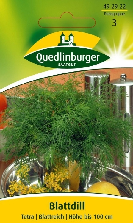 Dill Tetra Blattdill Dill Tetra Blattdill