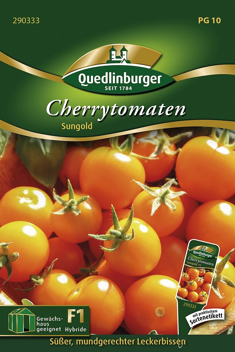 Cherrytomaten Sungold (Solanum lycopersicum)