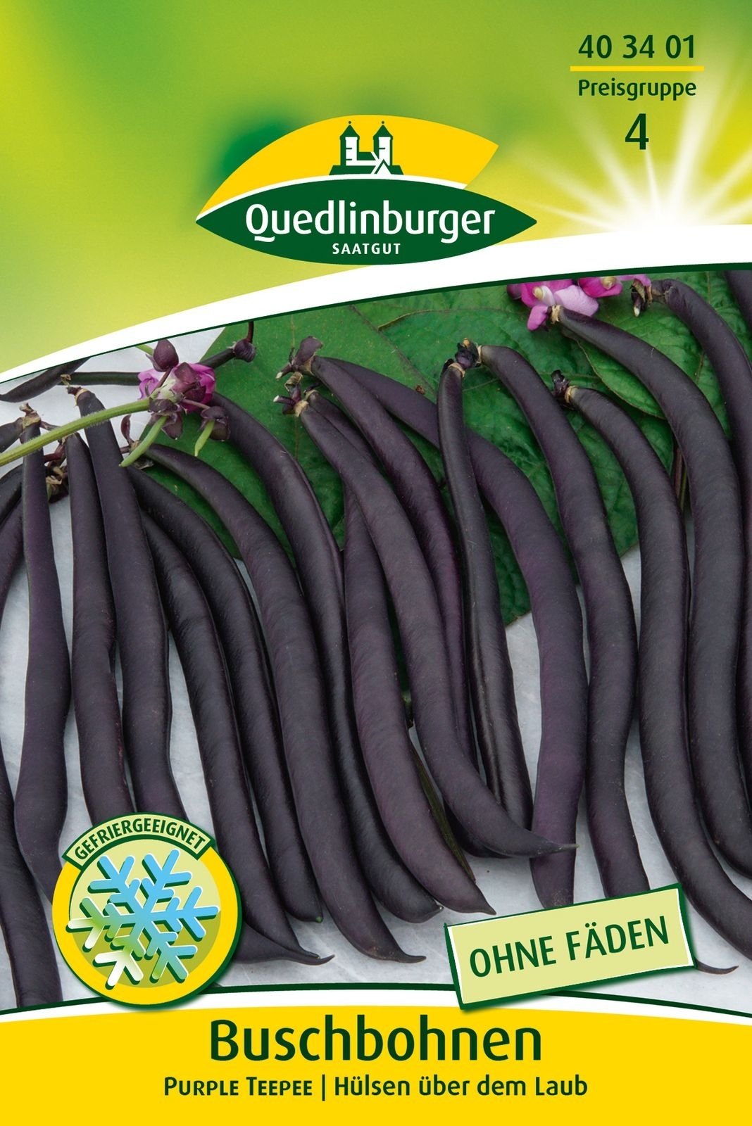 Buschbohnen Purple Teepee Buschbohnen Purple Teepee
