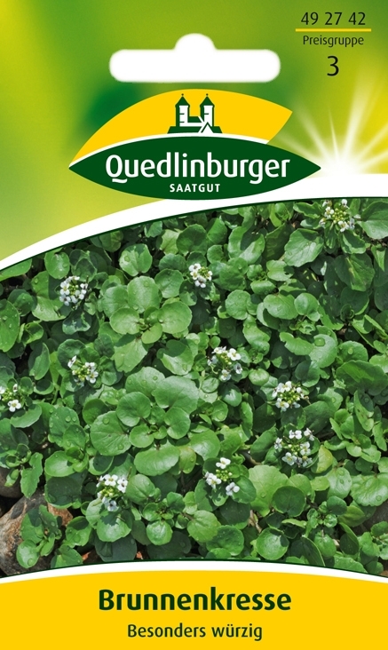 Brunnenkresse Besonders würzig (Nasturtium officinale)