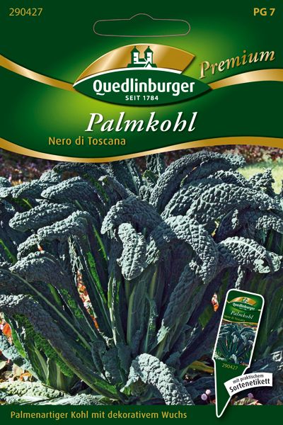Palmkohl Nero di Toscana (Brassica oleracea var. palmifolia)