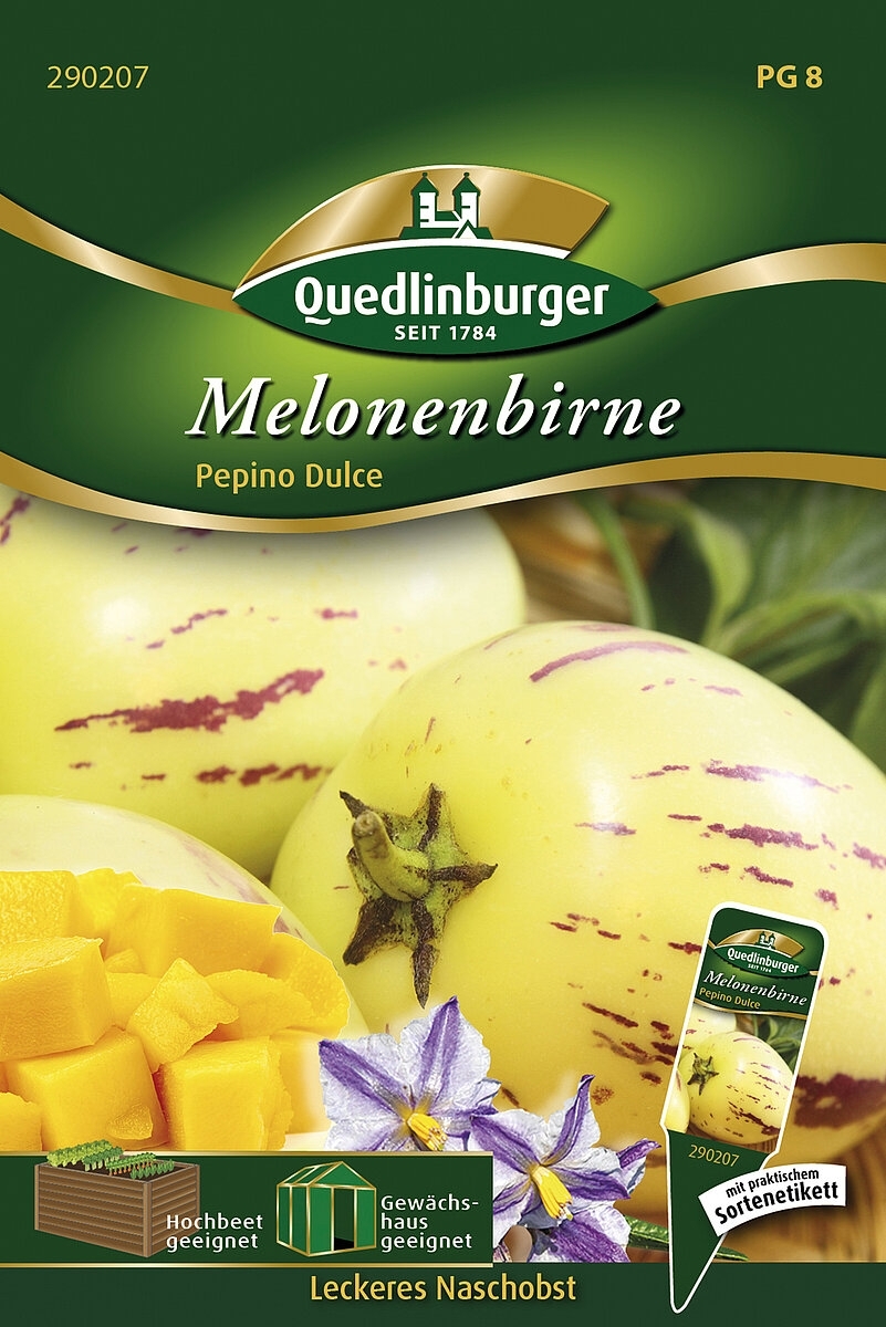 Melonenbirne Pepino Dulce (Solanum muricatum)