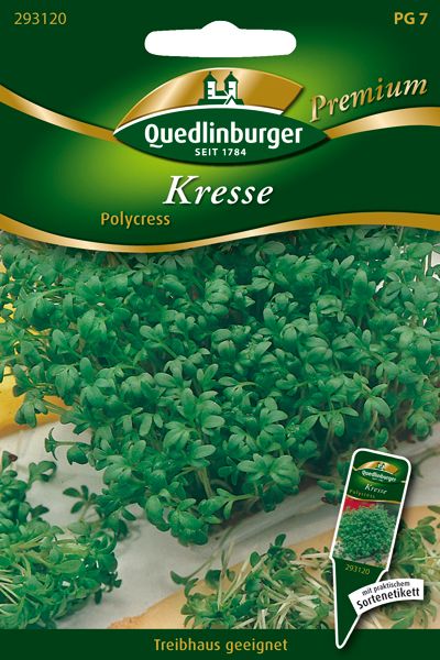 Kresse Polycress Kresse Polycress