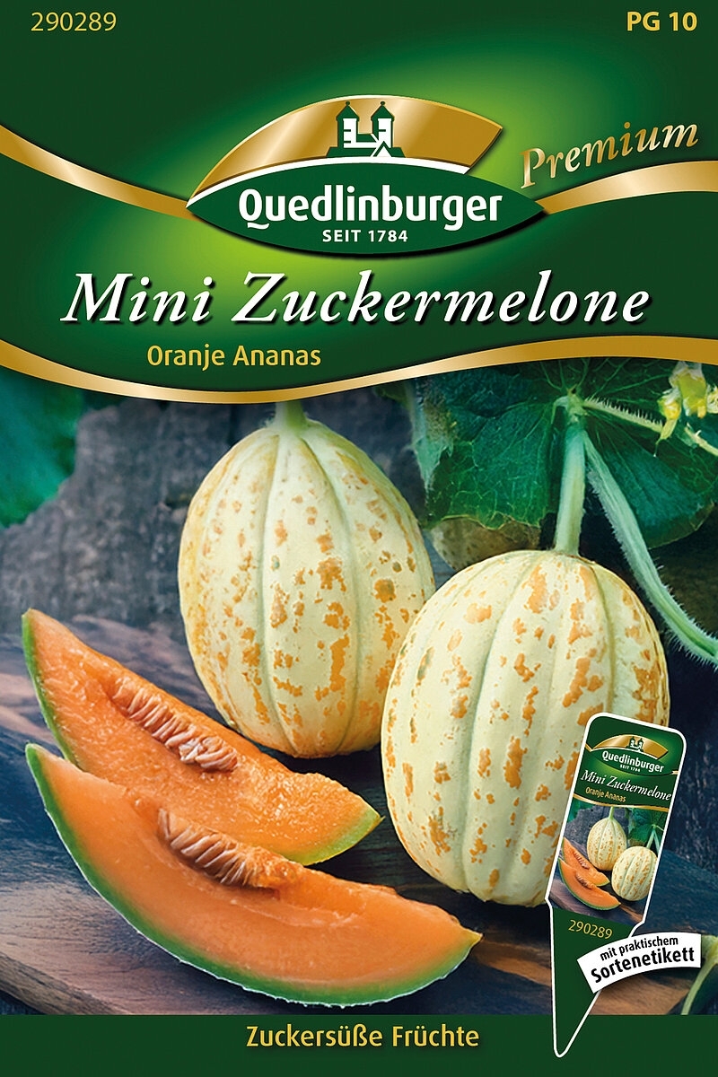 Zuckermelone Mini Oranje Ananas (Cucumis melo L.)