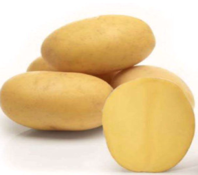 Pflanzkartoffeln Jule 5 kg, gelbschalig, mittelfrüh, fest Pflanzkartoffeln Jule 5 kg, gelbschalig, mittelfrüh, fest