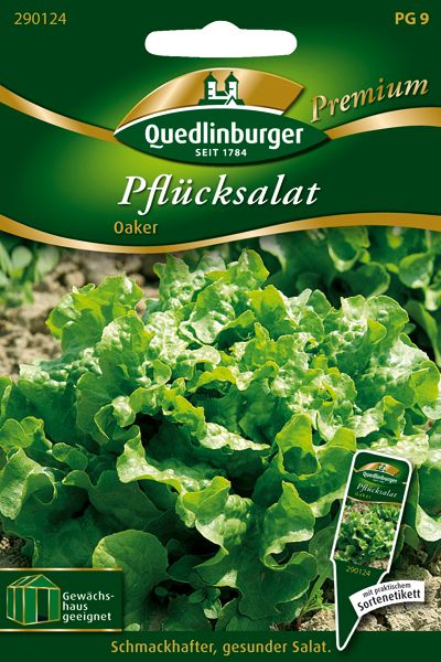 Pflücksalat Oaker