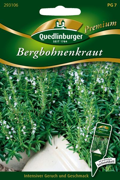 Bergbohnenkraut Bergbohnenkraut