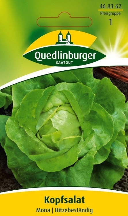 Kopfsalat Mona