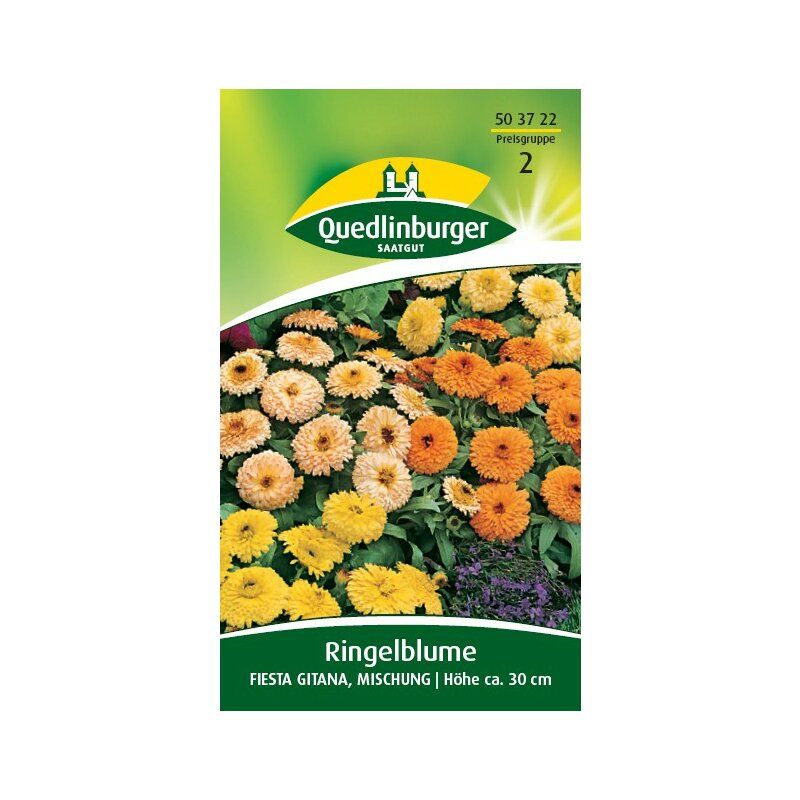 Ringelblume Fiesta Gitana Mischung