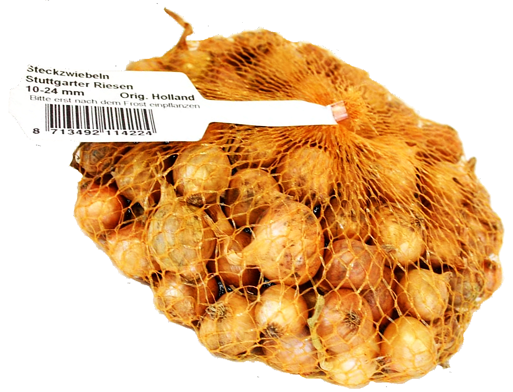 1 Kg Steckzwiebeln Stuttgarter Riesen 1 Kg Steckzwiebeln Stuttgarter Riesen