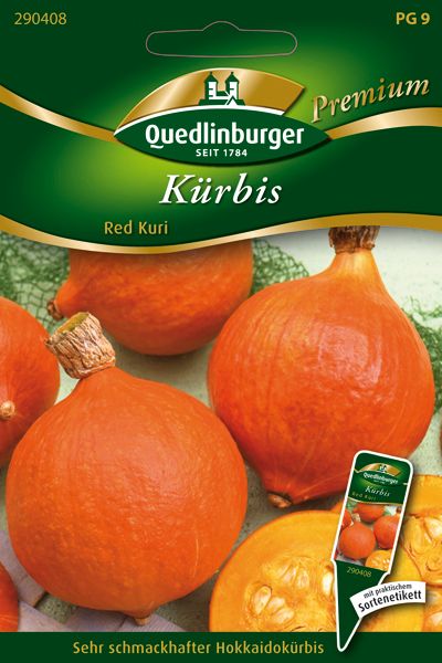 Kürbis Red Kuri