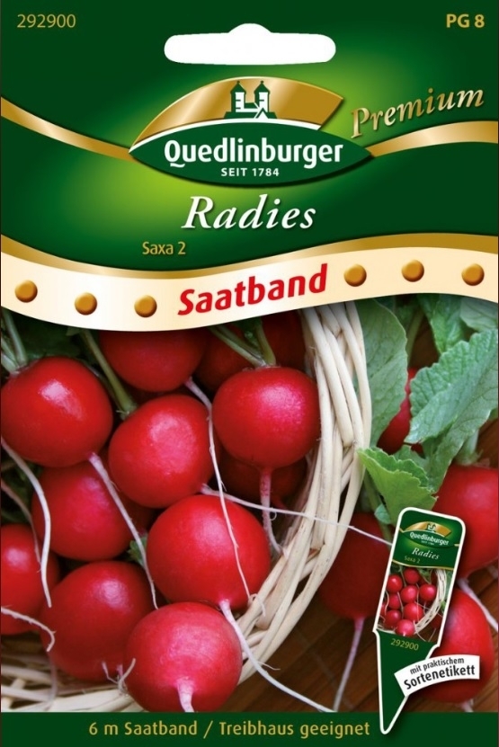 SB Radies Saxa 2