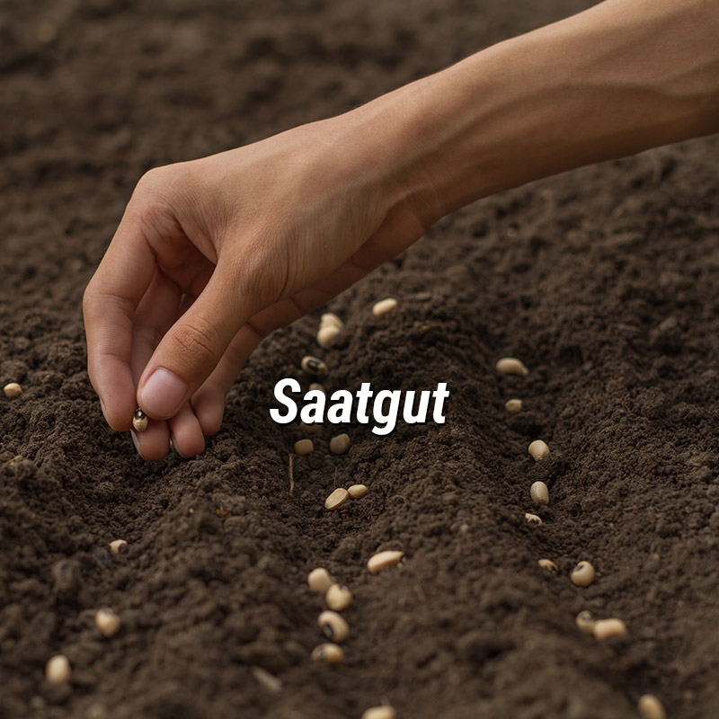 kategorie_saatgut_800x800