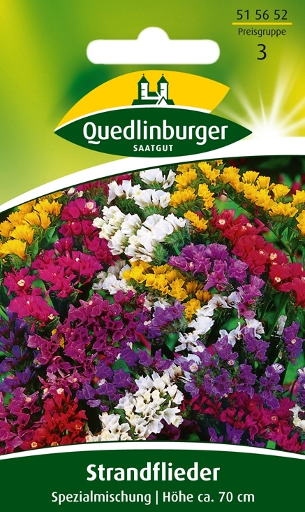 Strandflieder Spezialmischung (Limonium sinuatum) Strandflieder Spezialmischung (Limonium sinuatum)