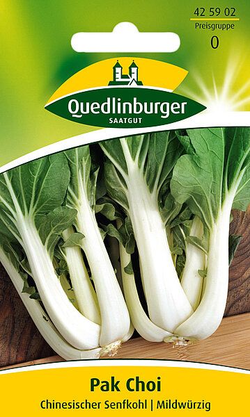 Pak Choi Chinesischer Senfkohl