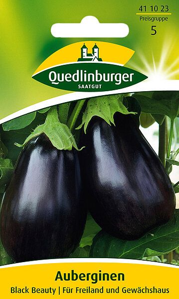 Auberginen Black Beauty Auberginen Black Beauty