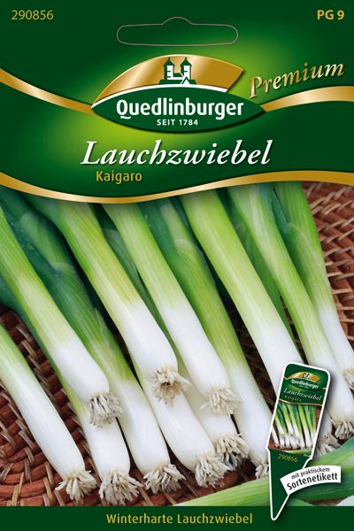 Lauchzwiebel Kaigaro