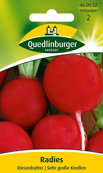 Radies Riesenbutter
