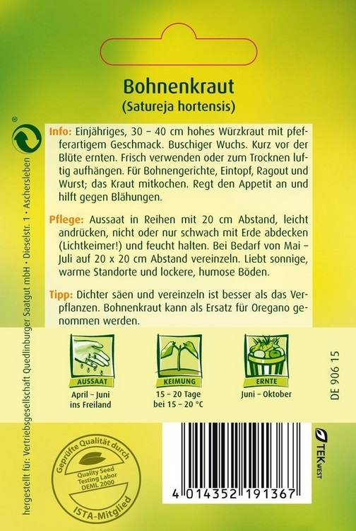 Bohnenkraut Einjähriges Bohnenkraut Einjähriges