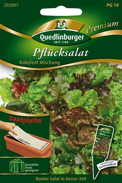 SP Pflücksalat Babyleaf Mischung