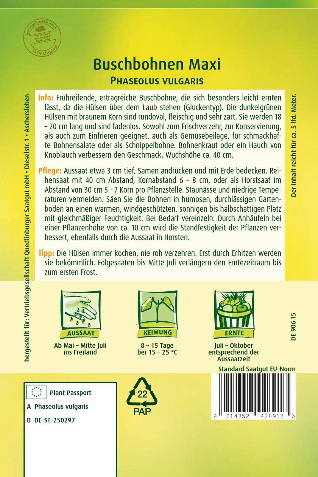 Buschbohnen Maxi