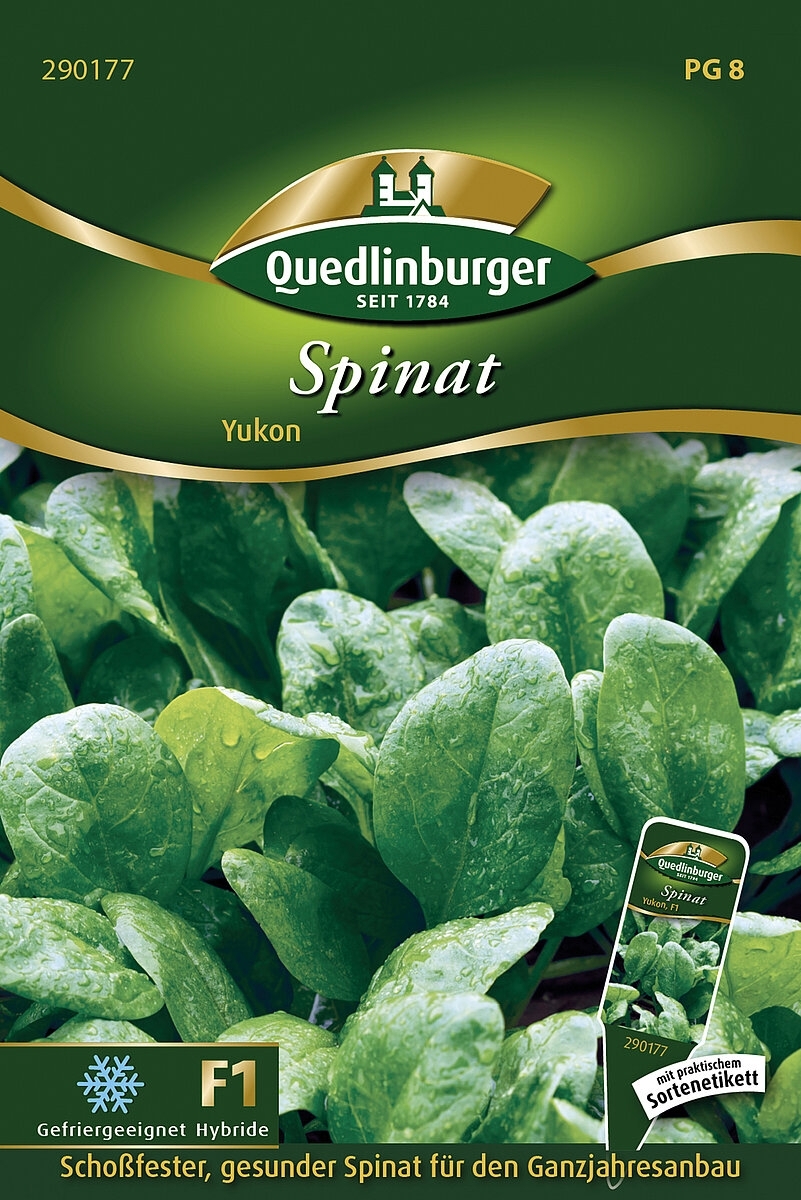 Spinat Yukon (Spinacia oleracea L.)