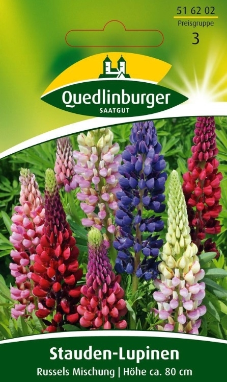Gründünger Stauden-Lupinen Russels Mischung