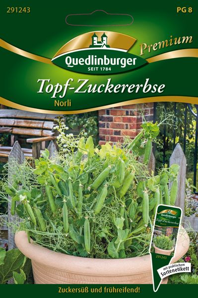 Topf- Zuckererbse Norli