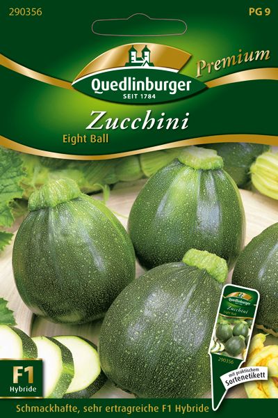 Zucchini Eight Ball (Cucurbita pepo L. var. giromontina)