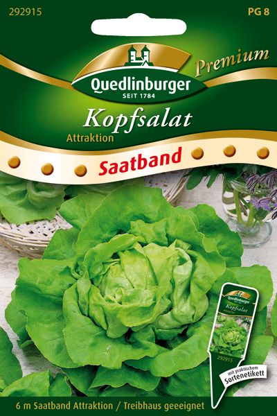 SB Kopfsalat Attraktion