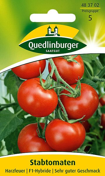 Stabtomaten Harzfeuer