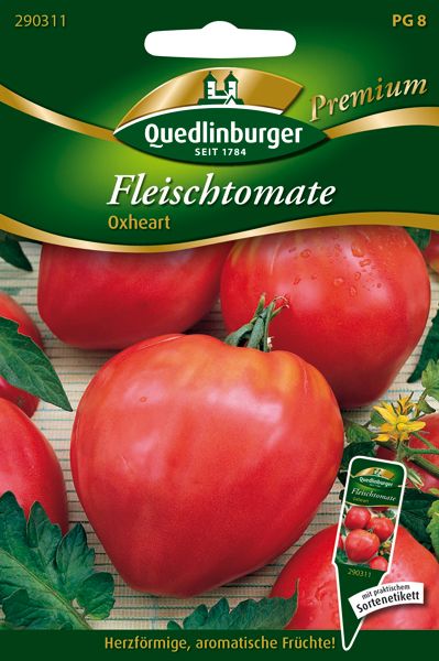 Fleischtomate Oxheart (Solanum lycopersicum)