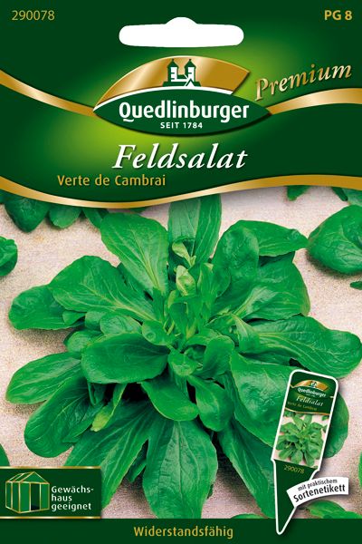 Feldsalat Verte de Cambrai