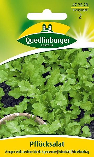 Pflücksalat A couper feuille de chêne blonde à graine noire
