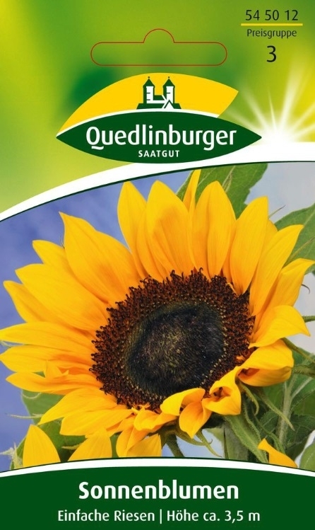 Sonnenblumen Einfache Riesen Sonnenblumen Einfache Riesen