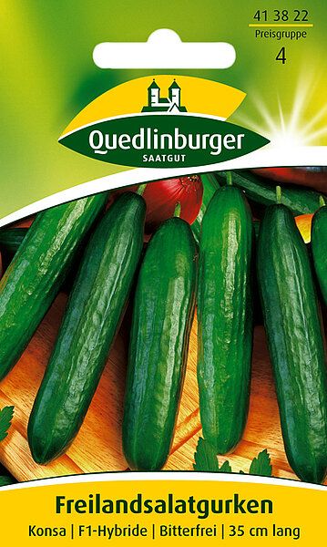 Freilandsalatgurken Konsa