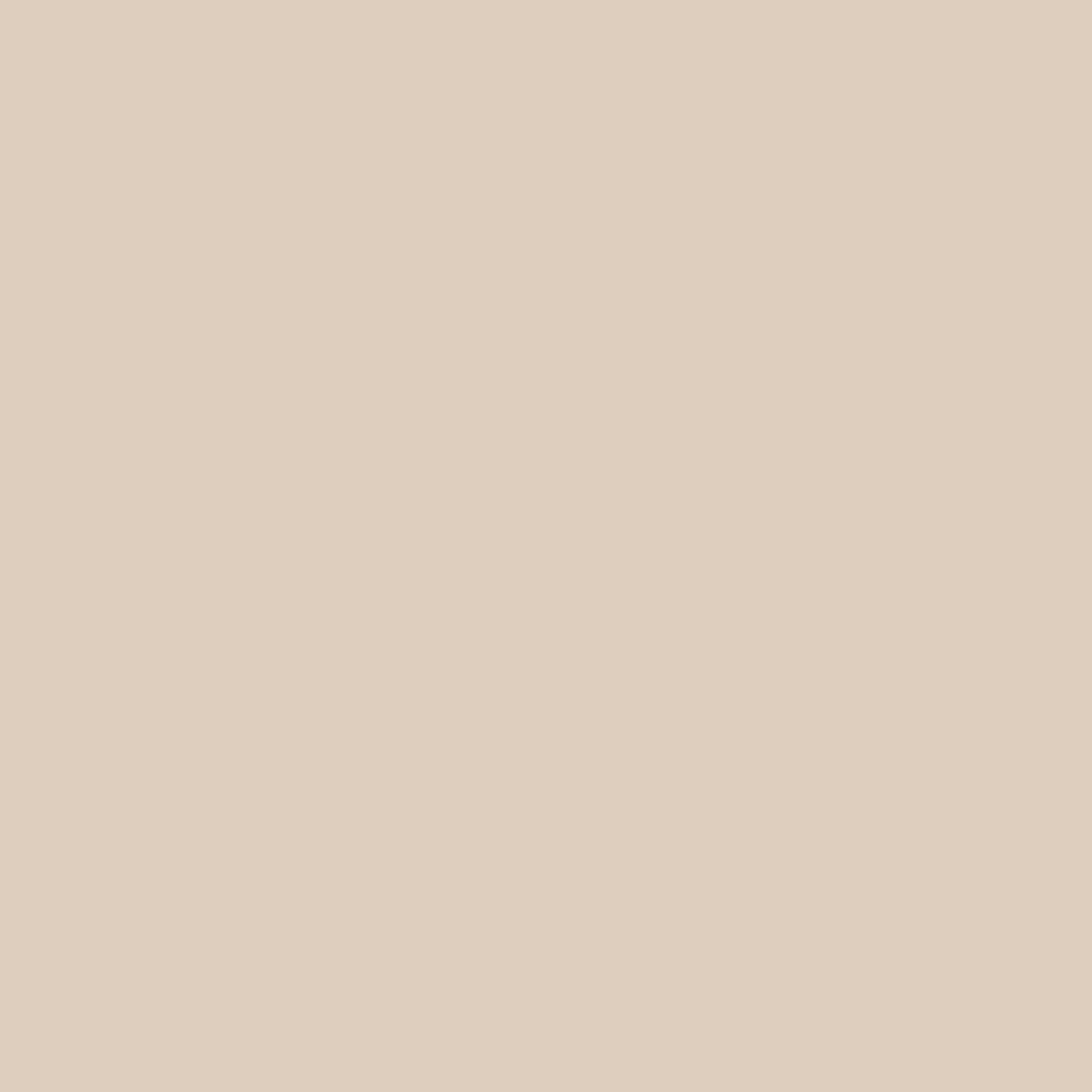 1L Schöner Wohnen Naturell Kreidefarbe Sandbrise, Warmes Beige 1L Schöner Wohnen Naturell Kreidefarbe Sandbrise, Warmes Beige