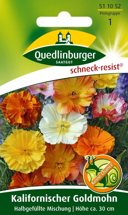Kalifornischer Goldmohn Halbgefüllt (Eschscholzia californica)
