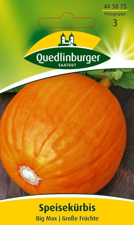 Speisekürbis Big Max, Große Früchte
