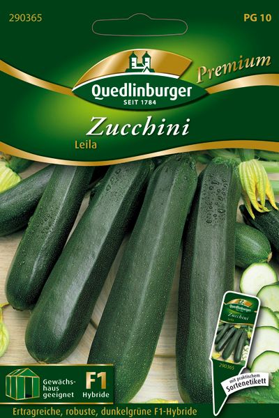 Zucchini Leila (Cucurbita pepo)