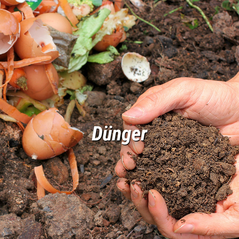 kategorie_duenger_800x800