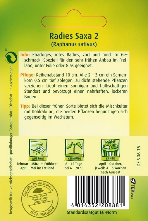 Radies Saxa 2