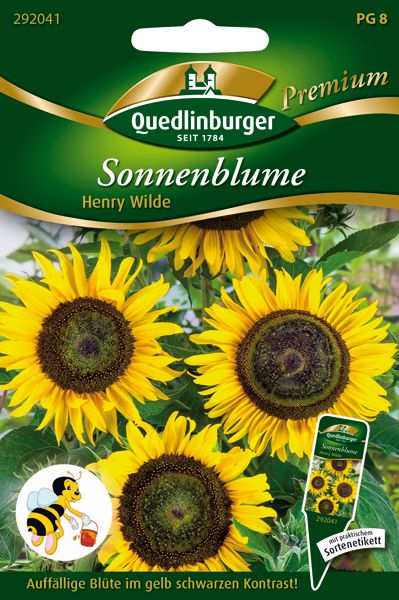Sonnenblume Henry Wilde