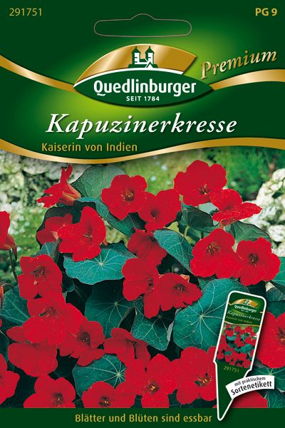 Kapuzinerkresse Kaiserin von Indien Kapuzinerkresse Kaiserin von Indien